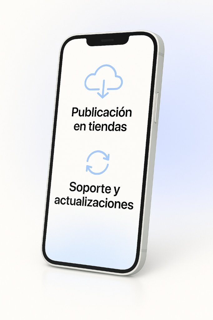 Lanzamiento y soporte